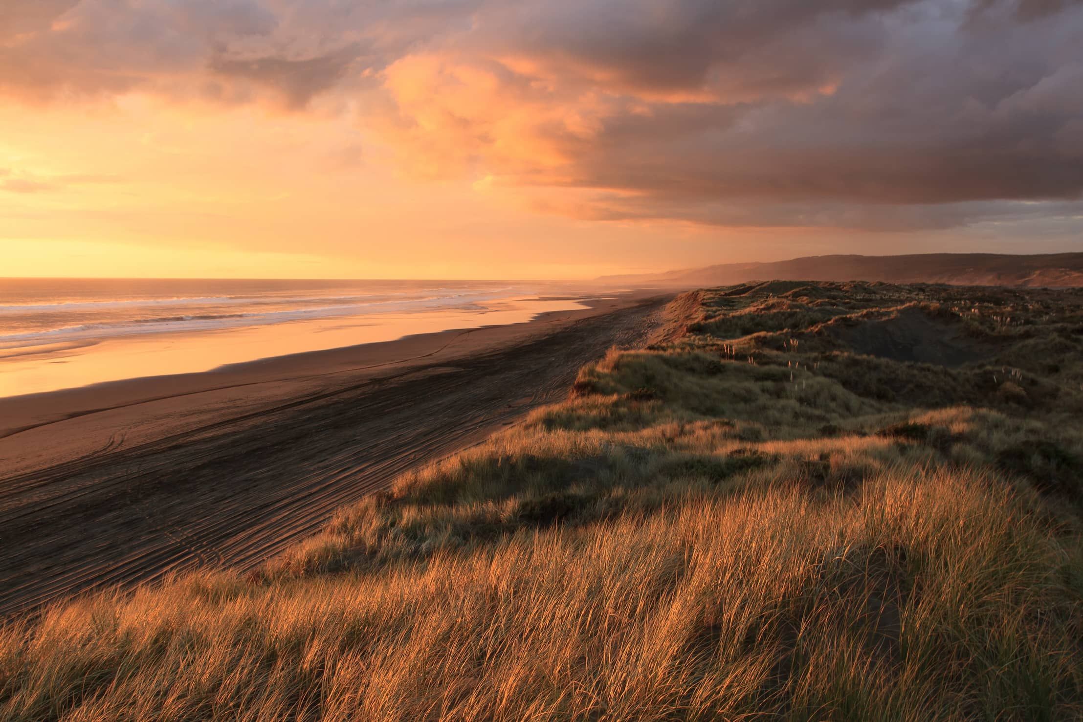 A beach sunset, with a lion mask overlay